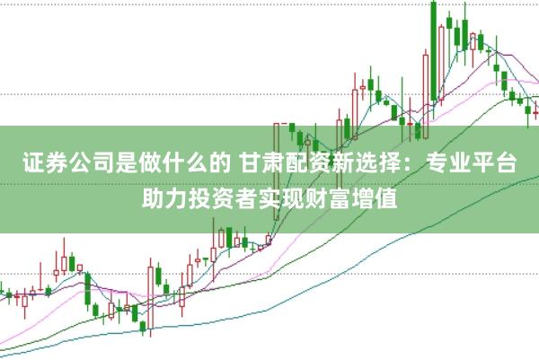 证券公司是做什么的 甘肃配资新选择：专业平台助力投资者实现财富增值
