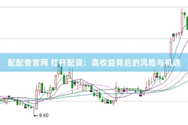 配配查官网 杠杆配资：高收益背后的风险与机遇