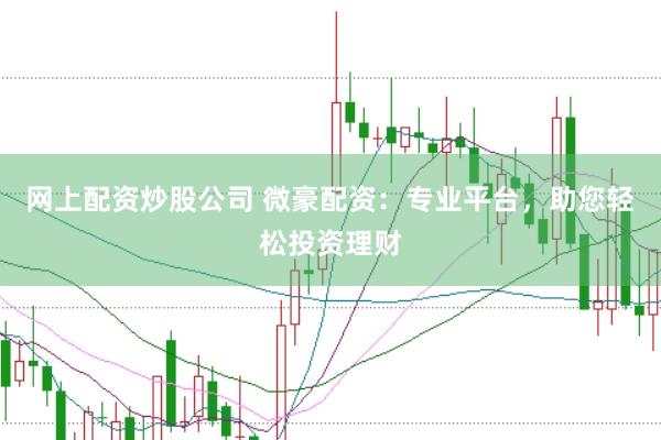 网上配资炒股公司 微豪配资：专业平台，助您轻松投资理财