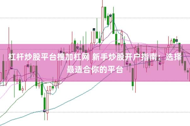 杠杆炒股平台搜加杠网 新手炒股开户指南：选择最适合你的平台