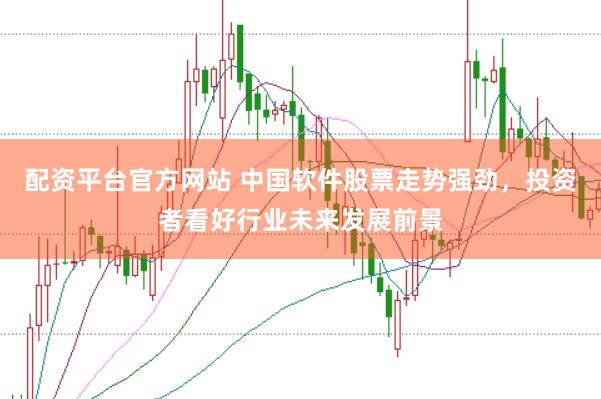 配资平台官方网站 中国软件股票走势强劲，投资者看好行业未来发展前景