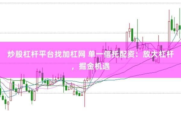 炒股杠杆平台找加杠网 单一信托配资：放大杠杆，掘金机遇
