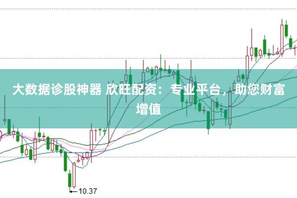 大数据诊股神器 欣旺配资：专业平台，助您财富增值
