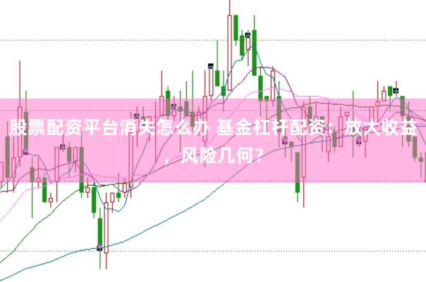 股票配资平台消失怎么办 基金杠杆配资：放大收益，风险几何？