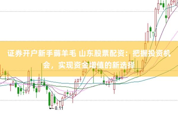 证券开户新手薅羊毛 山东股票配资：把握投资机会，实现资金增值的新选择