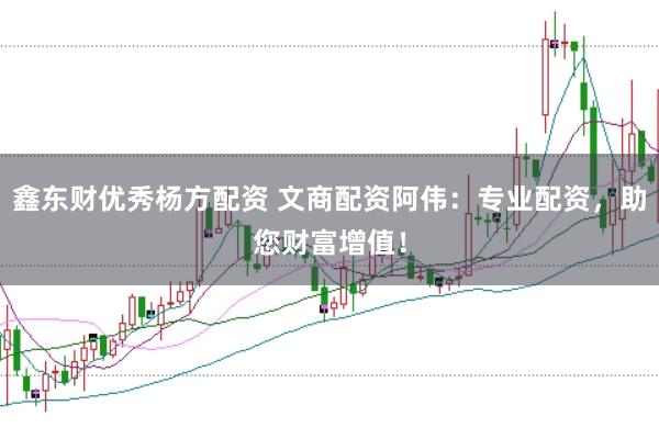 鑫东财优秀杨方配资 文商配资阿伟：专业配资，助您财富增值！