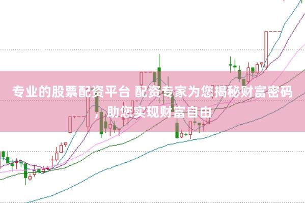 专业的股票配资平台 配资专家为您揭秘财富密码，助您实现财富自由