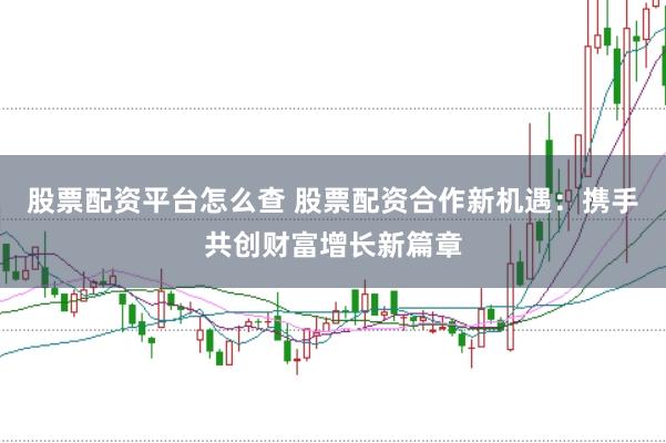 股票配资平台怎么查 股票配资合作新机遇：携手共创财富增长新篇章