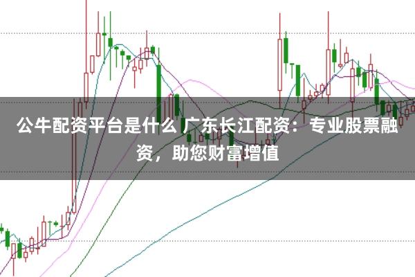 公牛配资平台是什么 广东长江配资：专业股票融资，助您财富增值
