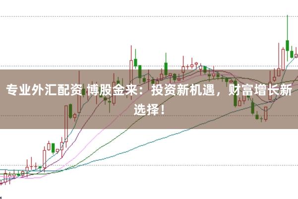 专业外汇配资 博股金来：投资新机遇，财富增长新选择！