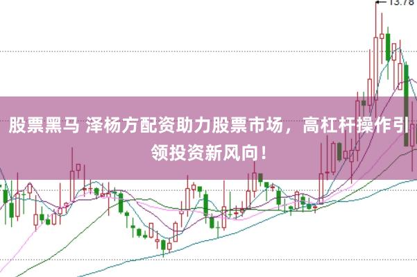 股票黑马 泽杨方配资助力股票市场，高杠杆操作引领投资新风向！