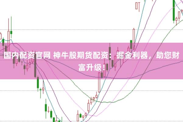 国内配资官网 神牛股期货配资：掘金利器，助您财富升级！
