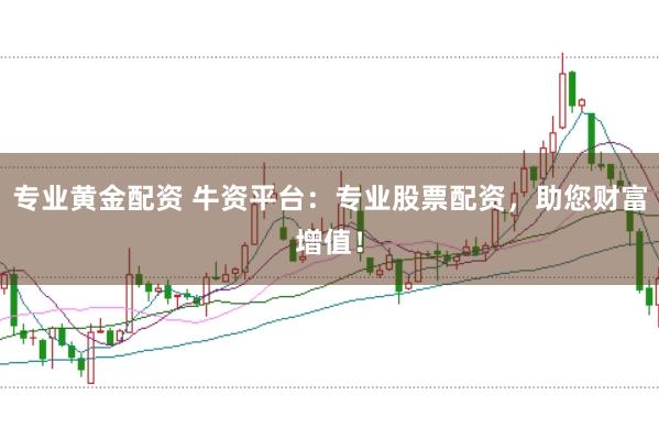 专业黄金配资 牛资平台：专业股票配资，助您财富增值！