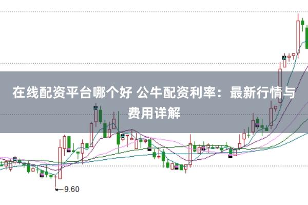 在线配资平台哪个好 公牛配资利率：最新行情与费用详解