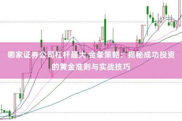 哪家证券公司杠杆最大 金夆策略：揭秘成功投资的黄金准则与实战技巧