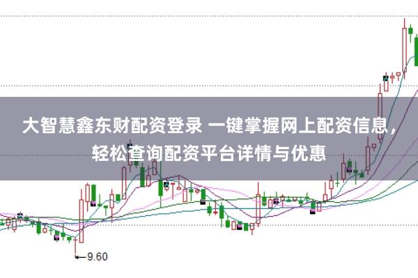 大智慧鑫东财配资登录 一键掌握网上配资信息，轻松查询配资平台详情与优惠