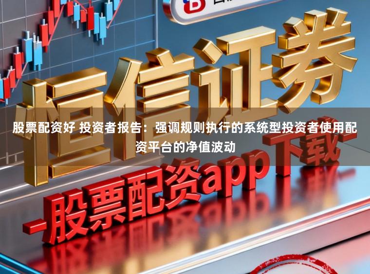 股票配资好 投资者报告:强调规则执行的系统型投资者使用配资平台的净值波动
