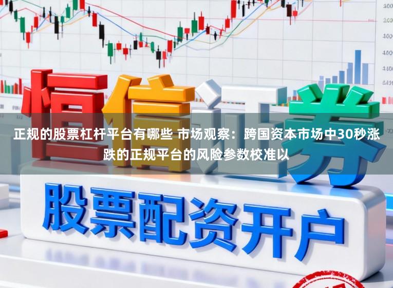 正规的股票杠杆平台有哪些 市场观察：跨国资本市场中30秒涨跌的正规平台的风险参数校准以